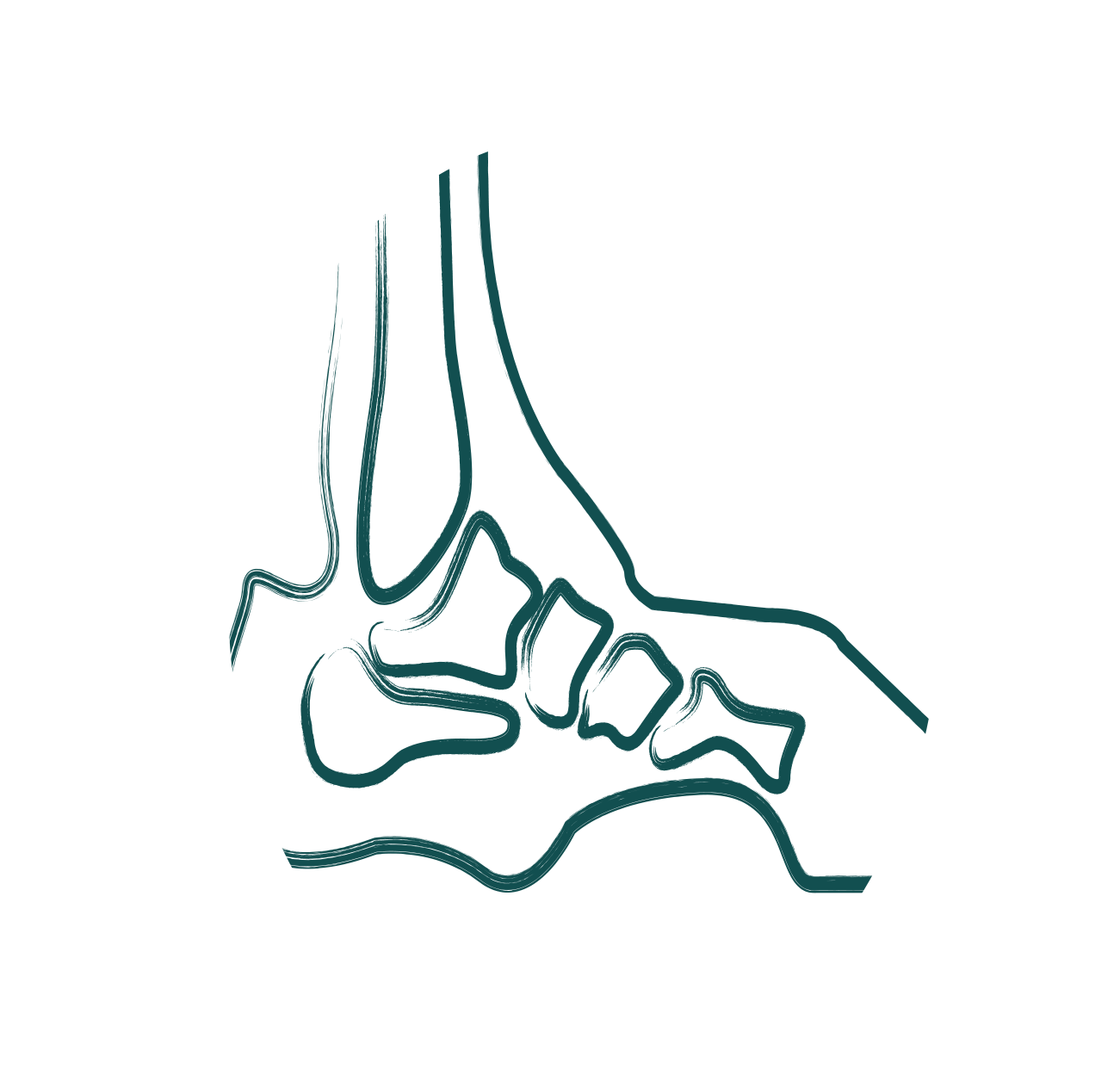 Foot Ankle