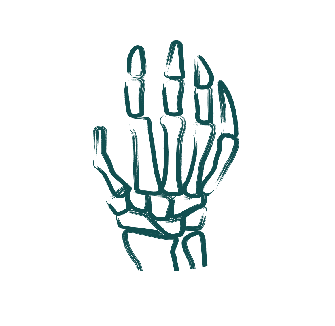 Hand Wrist