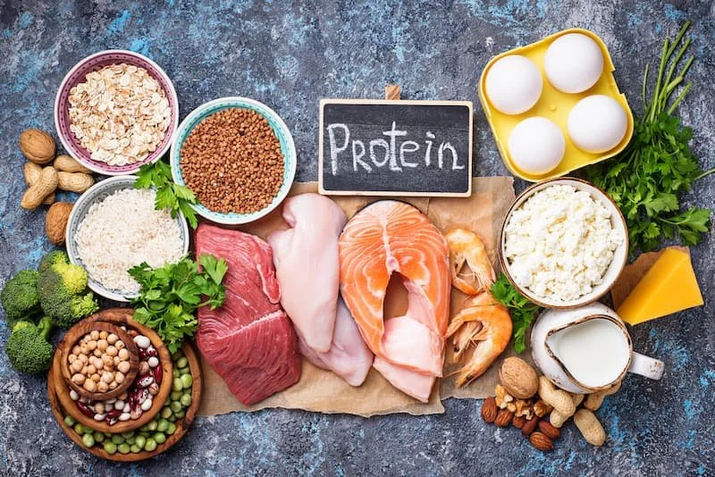 Protein